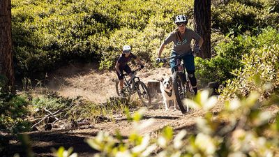 SHORT Y PANTS MTB