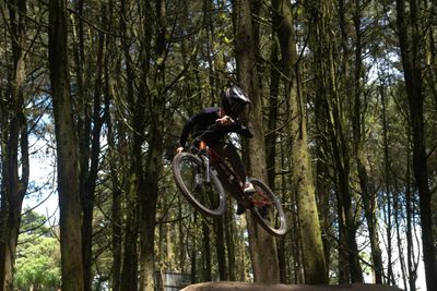 MTB