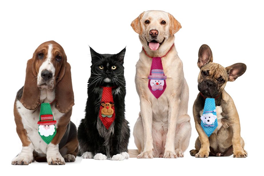 Krawat bałwan na gumce