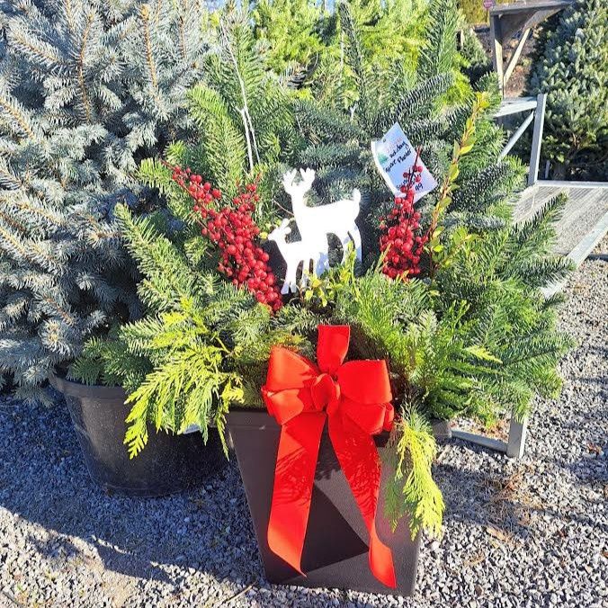 Holiday Planter