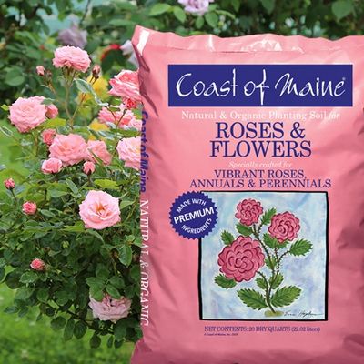 Bagged Roses &amp; Flowers Specialty Soil