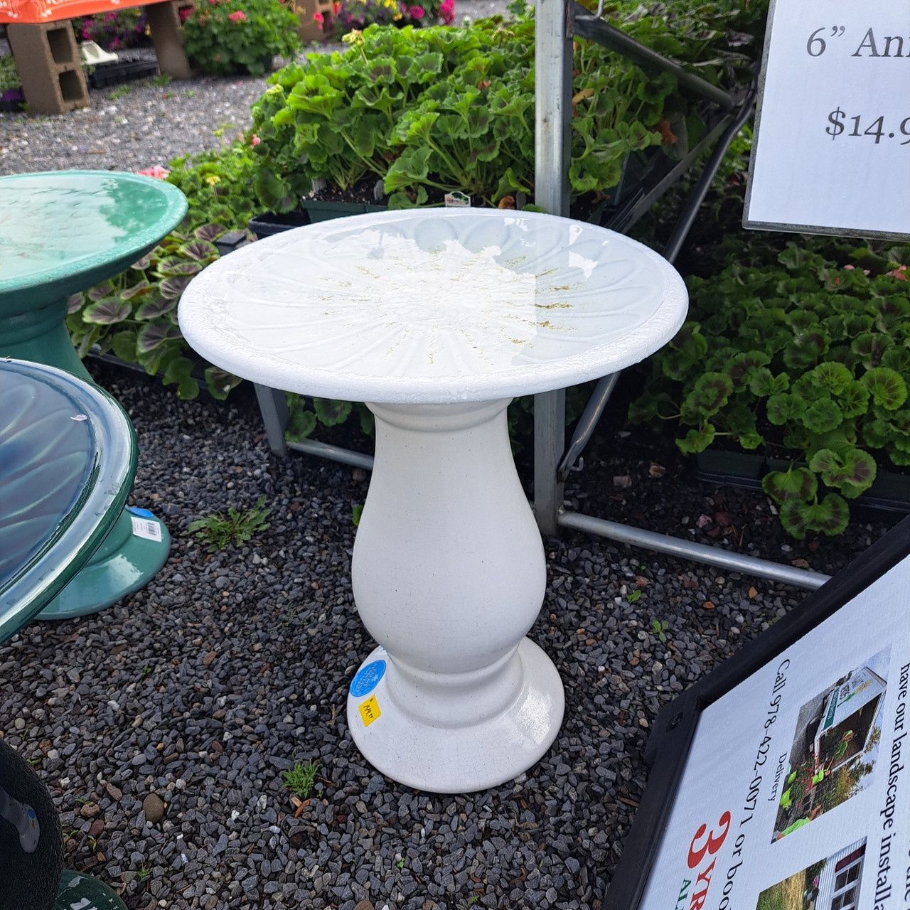 Bird Bath, Colour: White