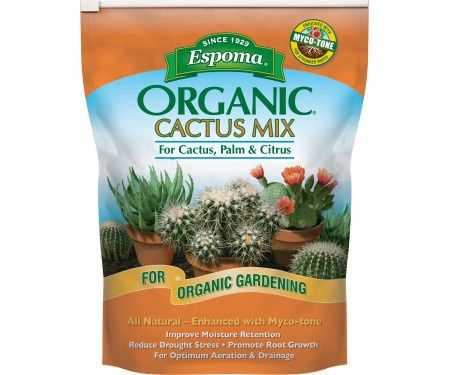 Cactus Mix Soil