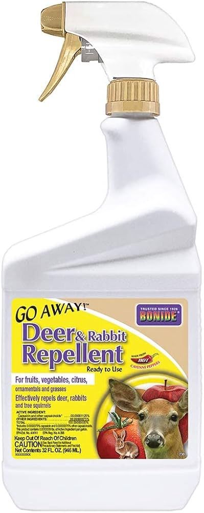 Go Away Deer and Rabbit