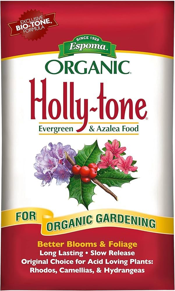 Holly - Tone