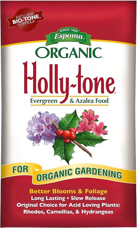 Holly - Tone