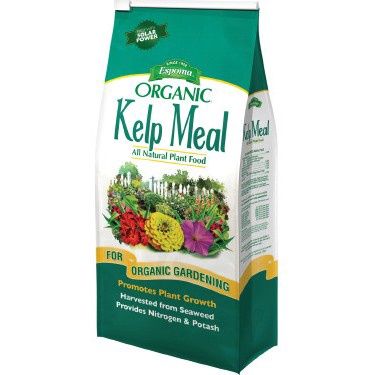 Kelp Meal