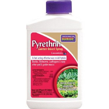 Pyrethrin Concentrate