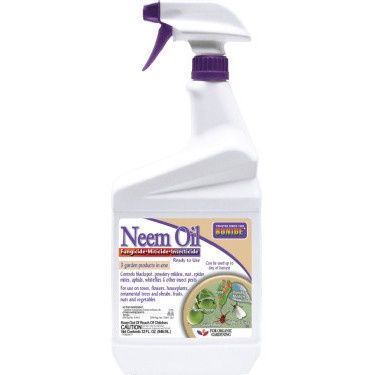 Neem Oil