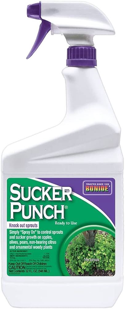 Sucker Punch