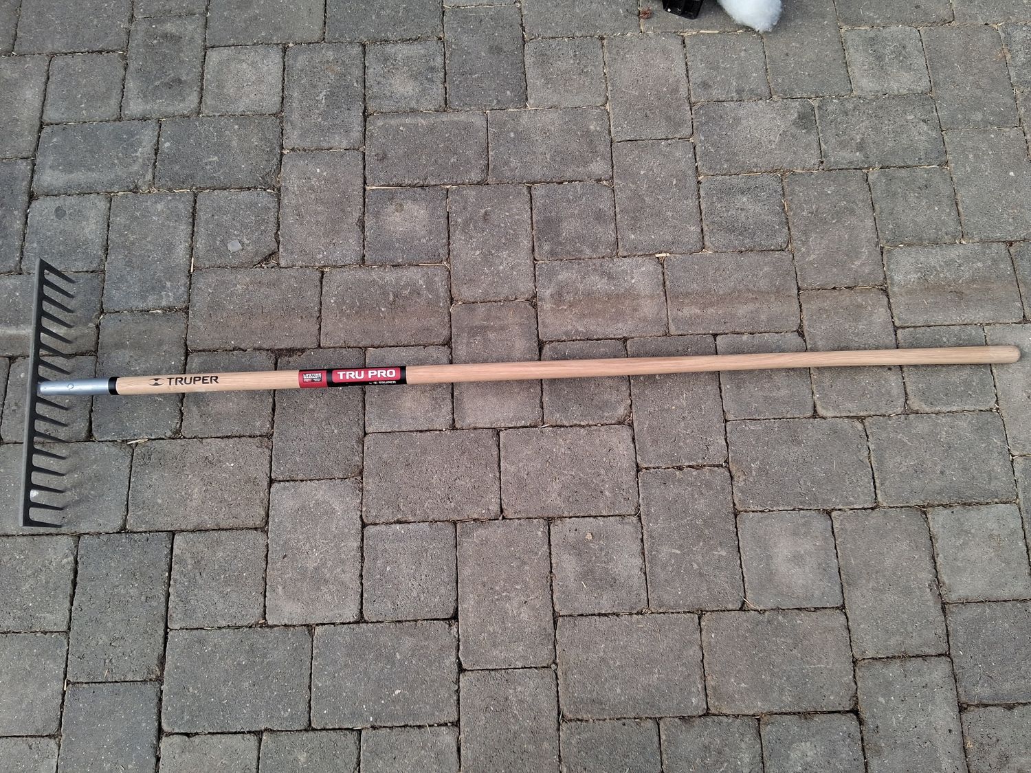 Professional Grade Iron Rake