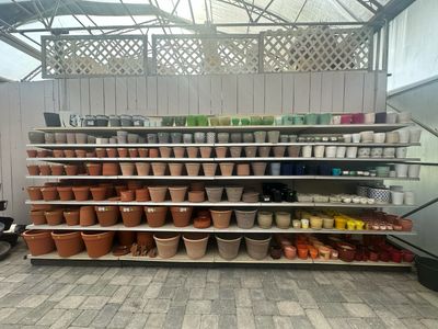 Plant Pots