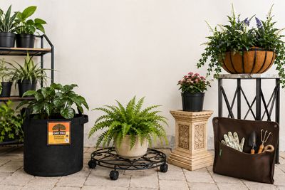 Pot Accessories &amp; Stands