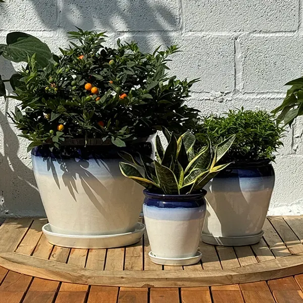 Outdoor Pots