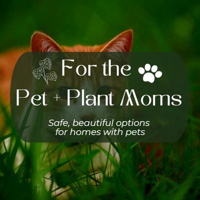 Plant &amp; Pet Moms