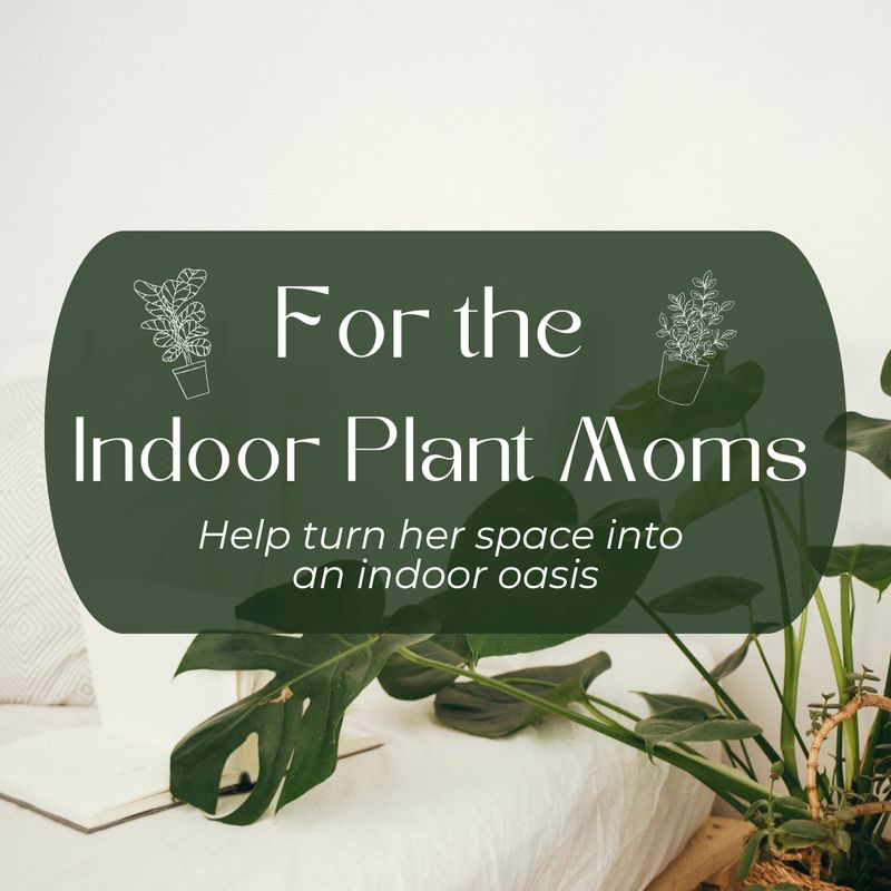 Indoor Plant Moms