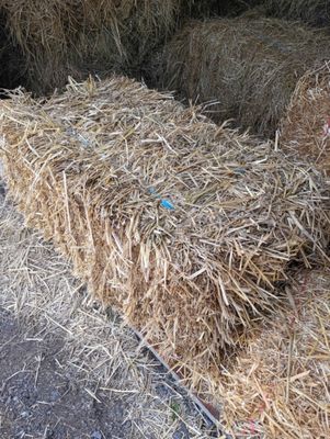 Straws & Hays