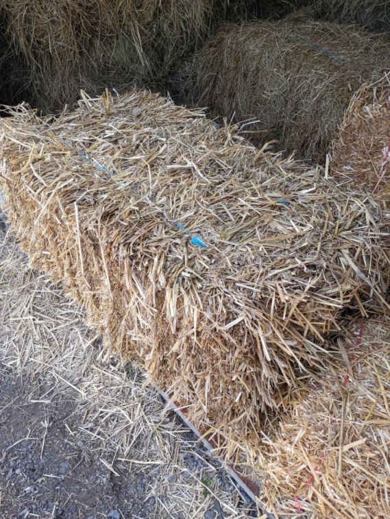 Straws &amp; Hays