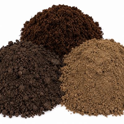 Bulk Soil