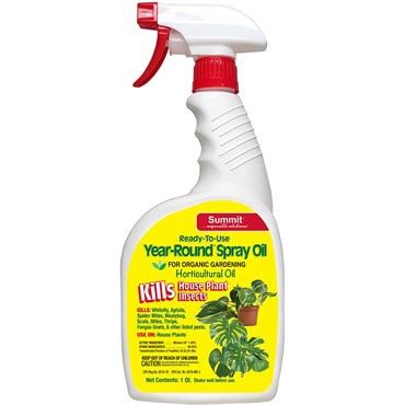 Year Round Spray Oil