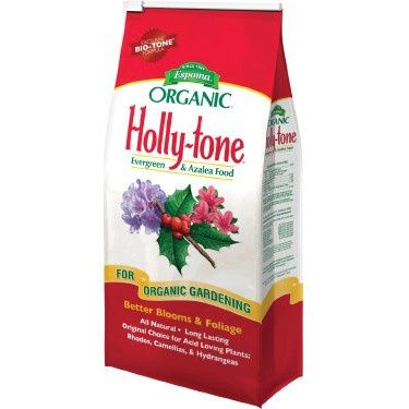 Holly - Tone, Size: 4lb
