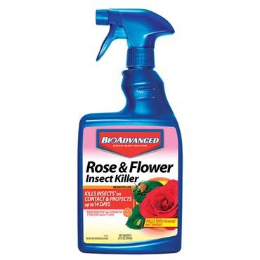 Rose and Flower Spray