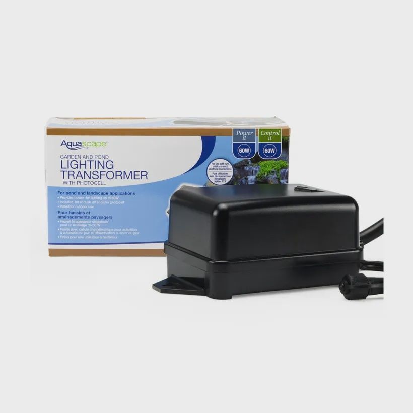 Transformer Aquascape