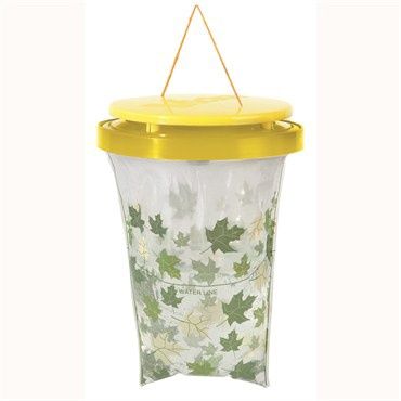 Yellow Jacket Magnet