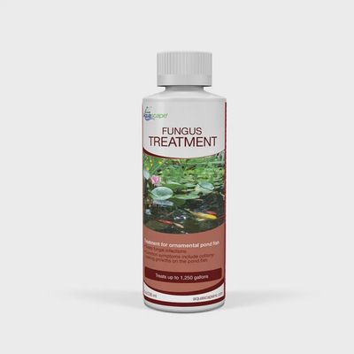 Fungus Treatment