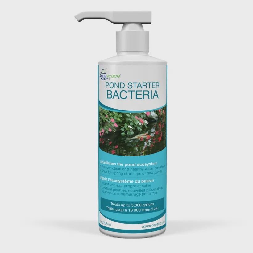 Pond Starter Bacteria, Size: 8oz