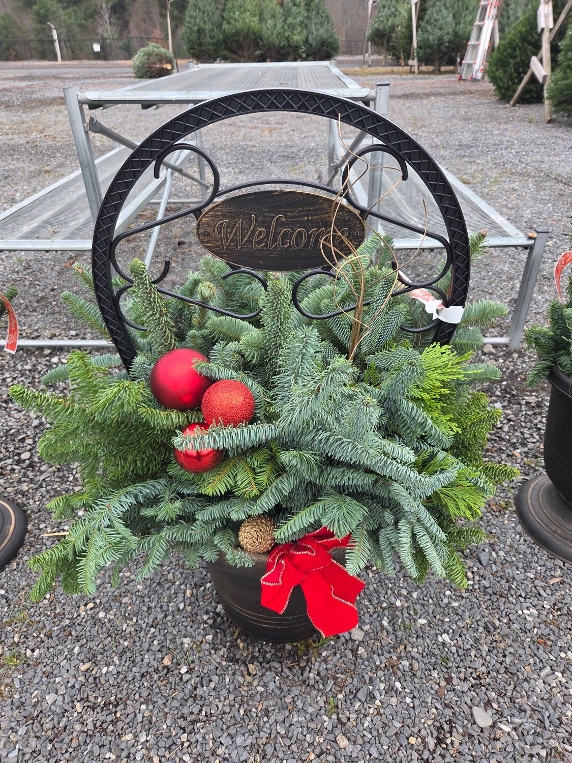 Holiday Welcome Planter, Variety: Large Welcome Planter