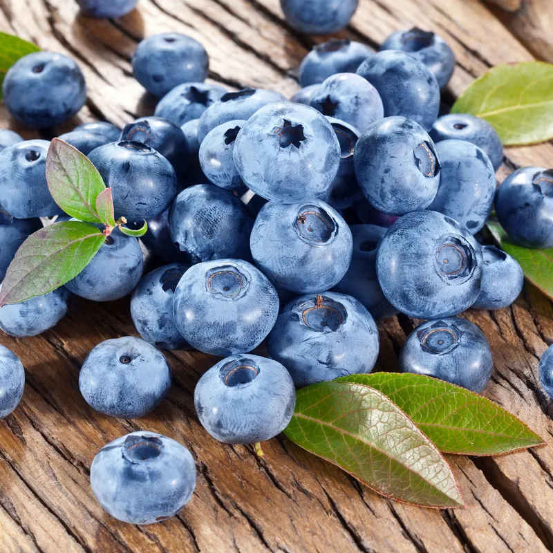 Blueberry Shrubs