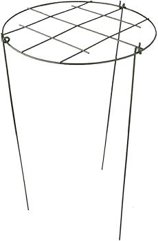 Grow-Thru Support, 12" Diameter,  18" Tall