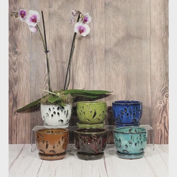 Orchid Pots