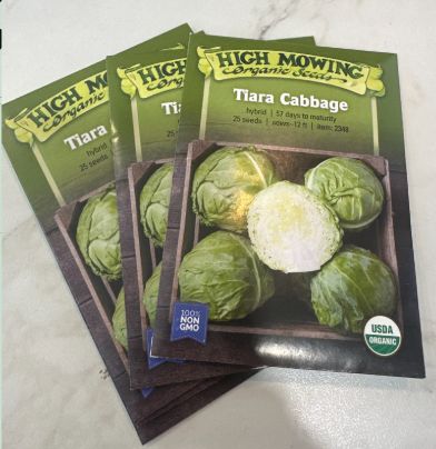 Cabbages, Variety: Tiara Cabbage