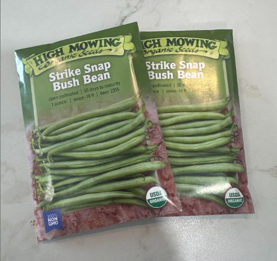 Beans, Variety: Strike Snap Bush Bean