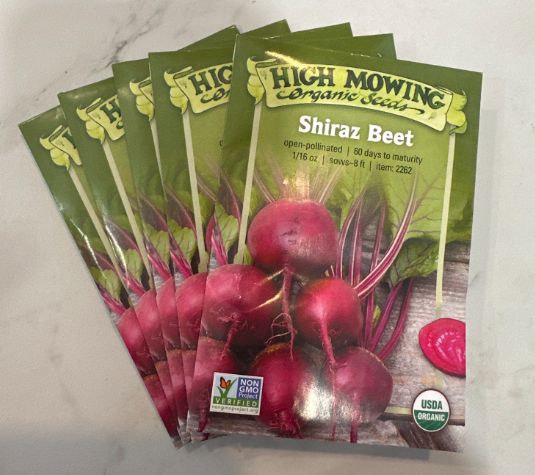 Beets, Variety: Shiraz Beet
