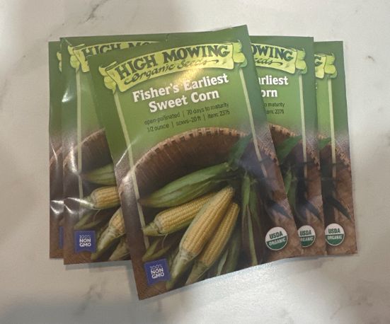 Corn, Variety: Fisher's Earliest Sweet Corn