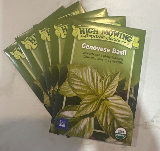 Basil, Variety: Genovese Basil