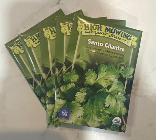 Cilantro, Variety: Santo Cilantro