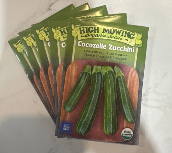 Squashes, Variety: Cocozelle Zucchini