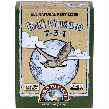 Bat Guano