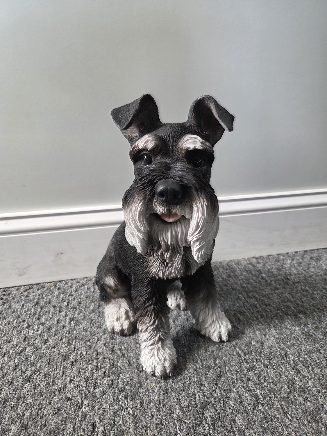 Miniature Schnauzer
