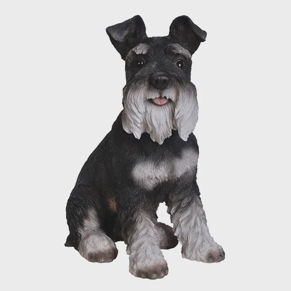 Miniature Schnauzer