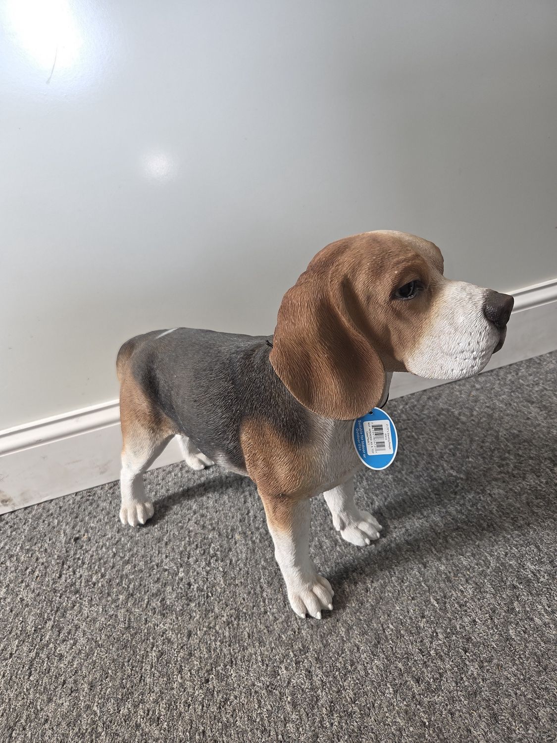 Standing Beagle