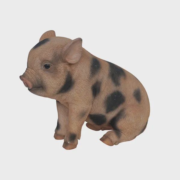 Sitting Micro Pig