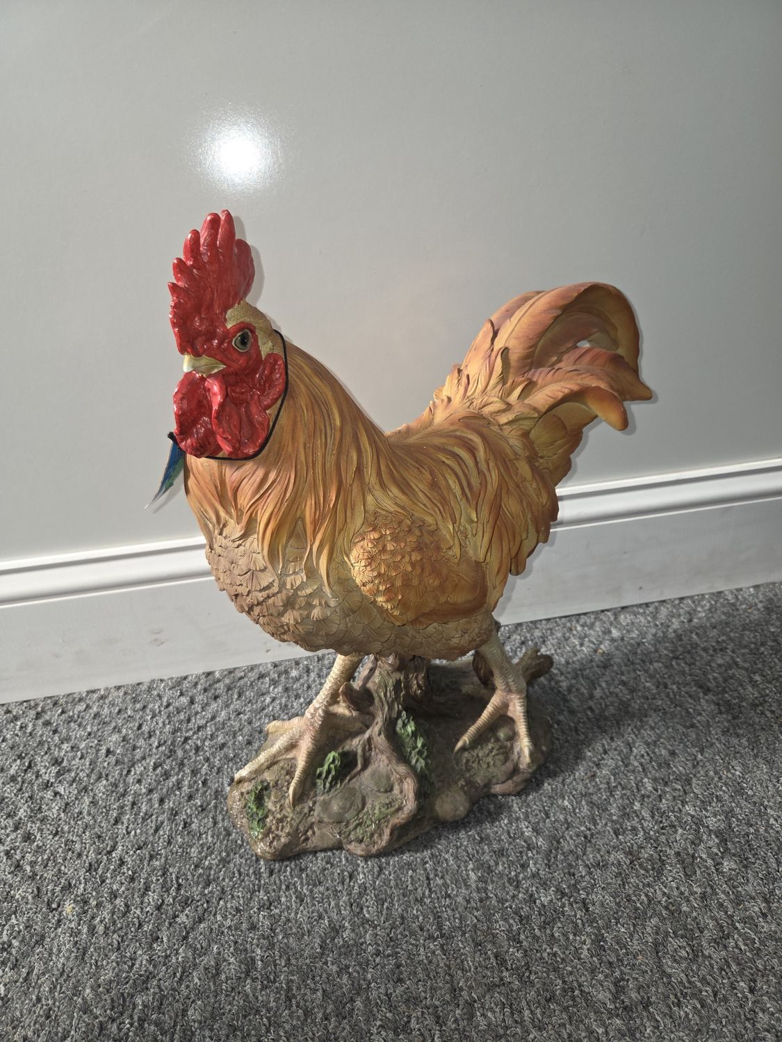 Orpington Rooster