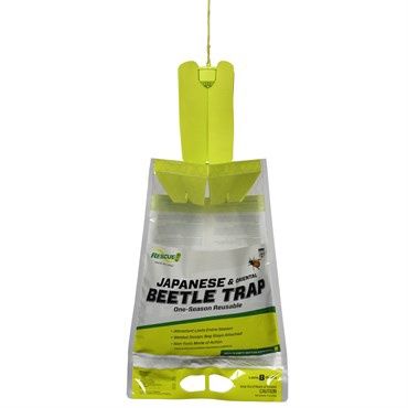 Japanese Beetle Trap