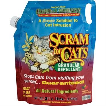 Scram for Cats