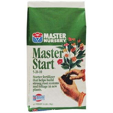 Master Start